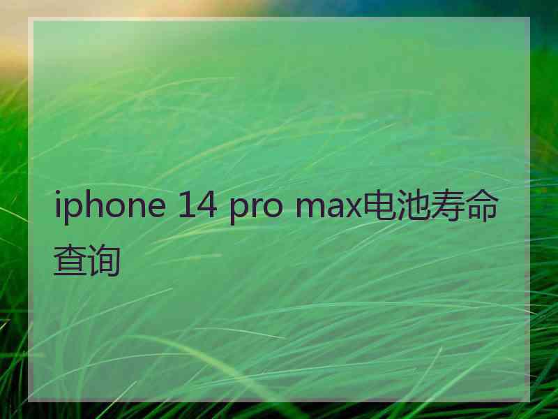 iphone 14 pro max电池寿命查询