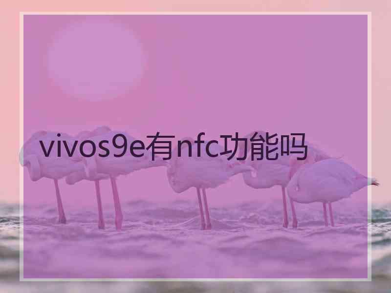 vivos9e有nfc功能吗