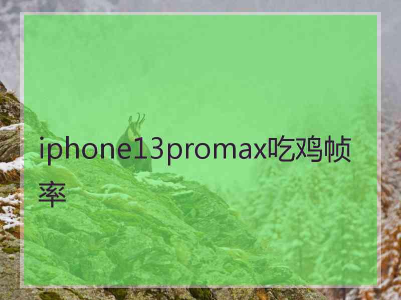 iphone13promax吃鸡帧率