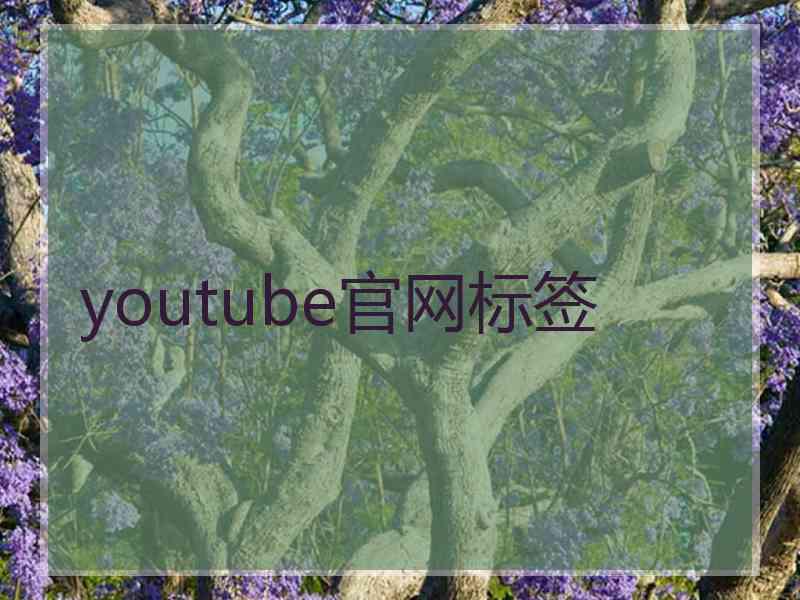 youtube官网标签