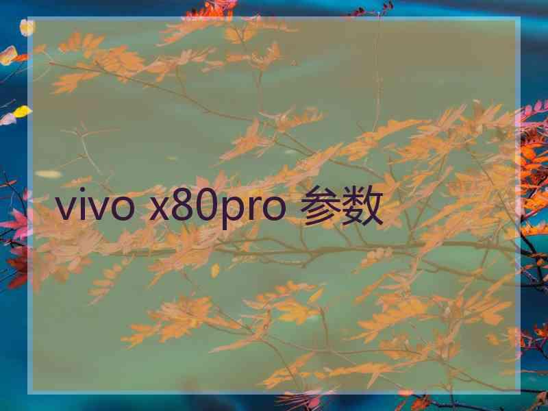 vivo x80pro 参数