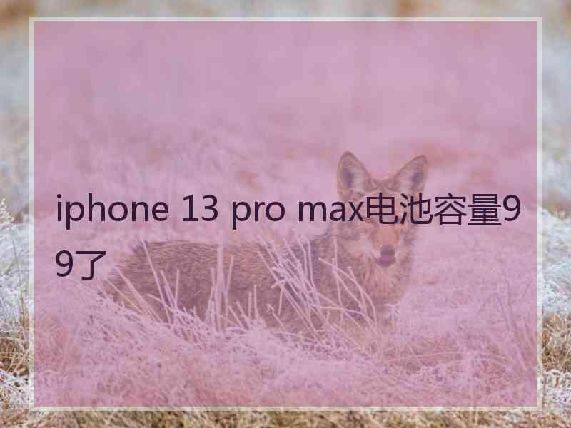 iphone 13 pro max电池容量99了