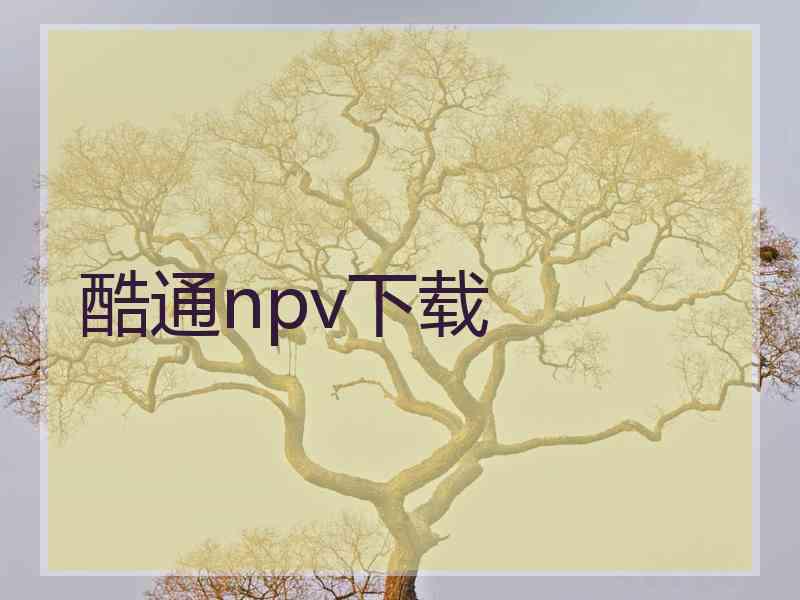 酷通npv下载