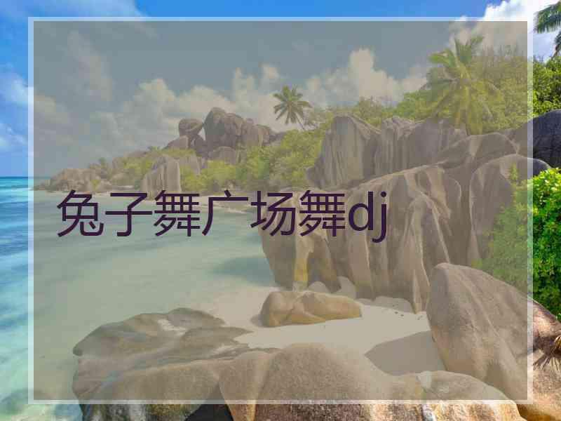 兔子舞广场舞dj