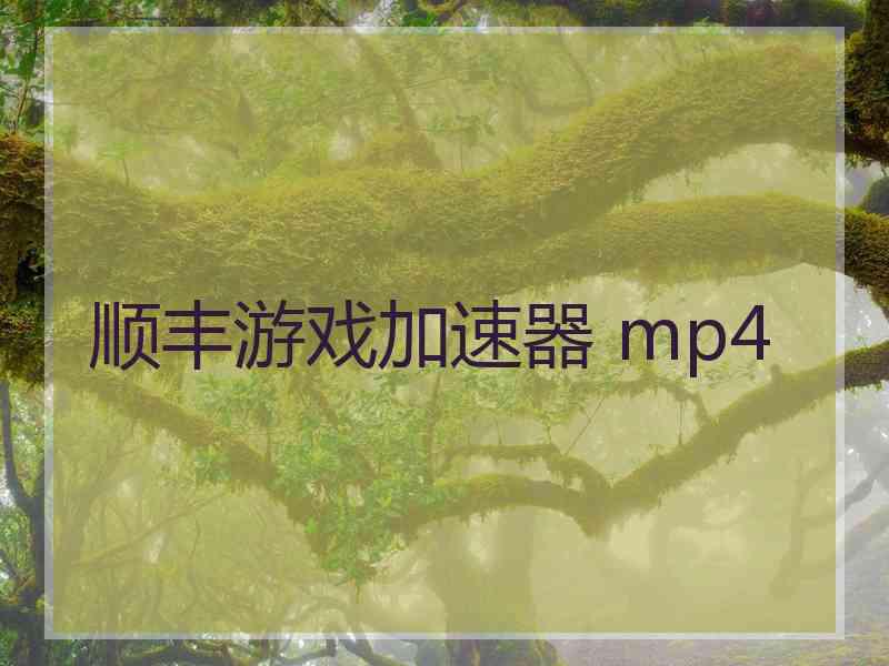 顺丰游戏加速器 mp4