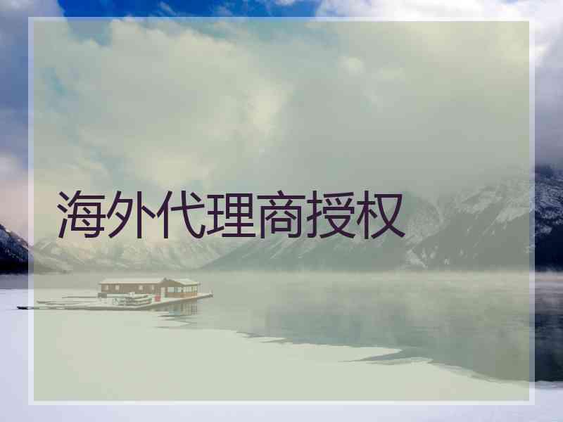 海外代理商授权