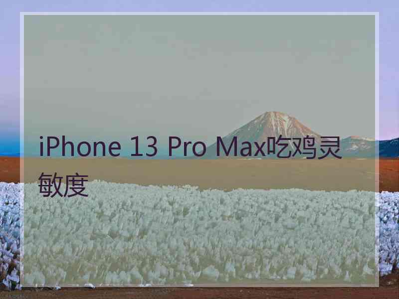 iPhone 13 Pro Max吃鸡灵敏度