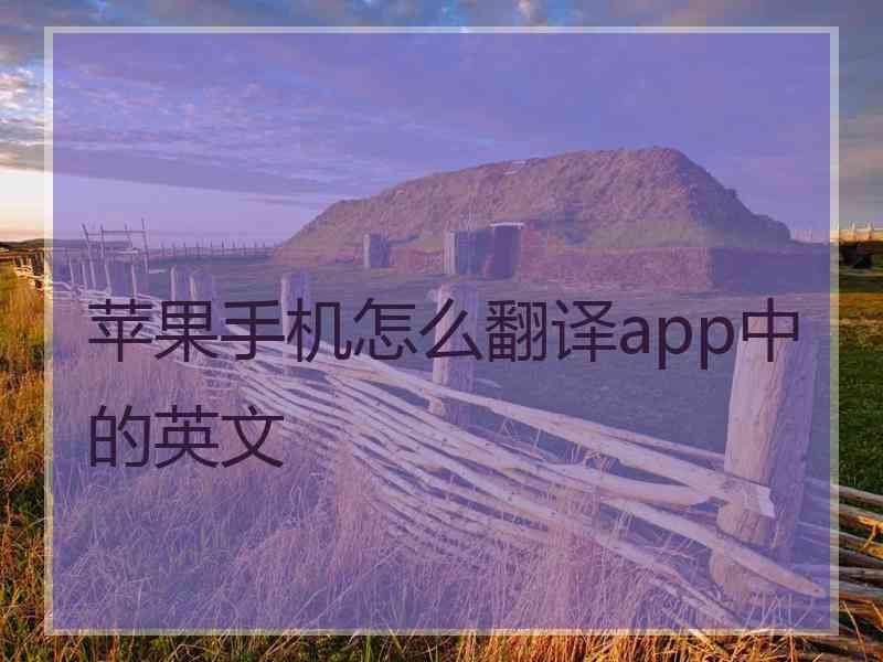 苹果手机怎么翻译app中的英文