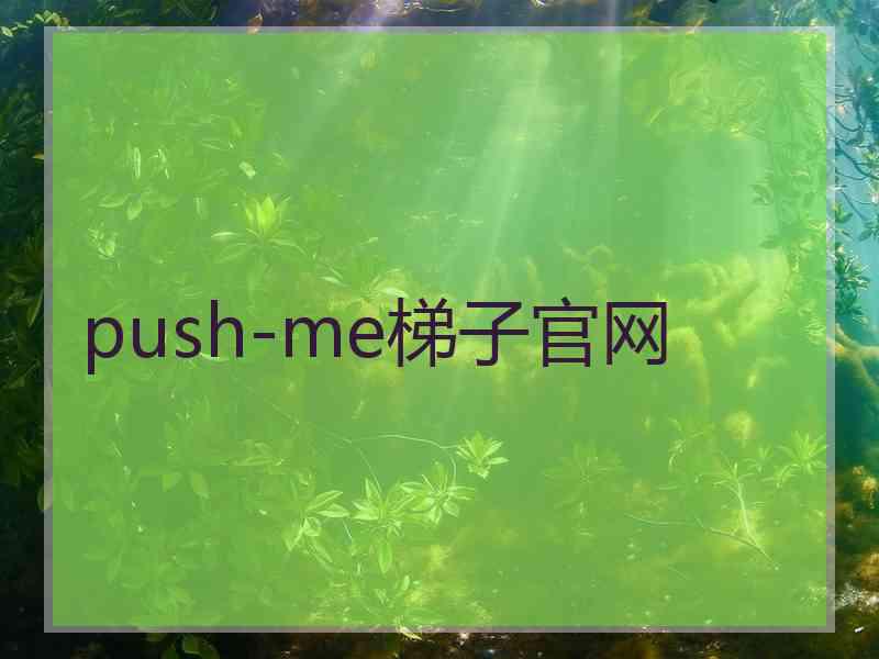 push-me梯子官网