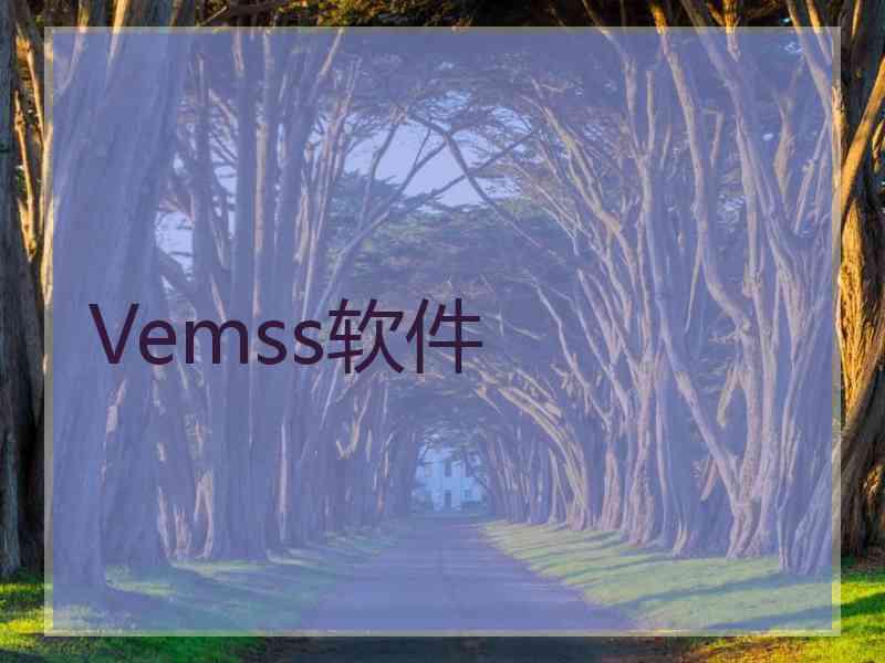 Vemss软件