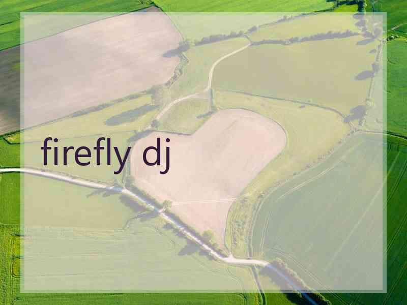 firefly dj