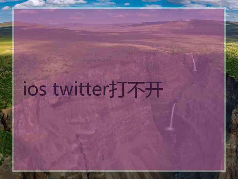 ios twitter打不开