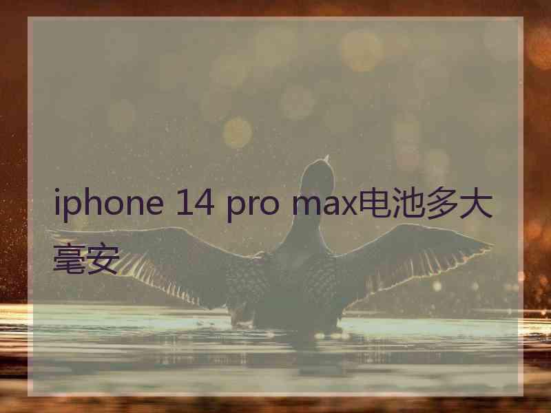 iphone 14 pro max电池多大毫安