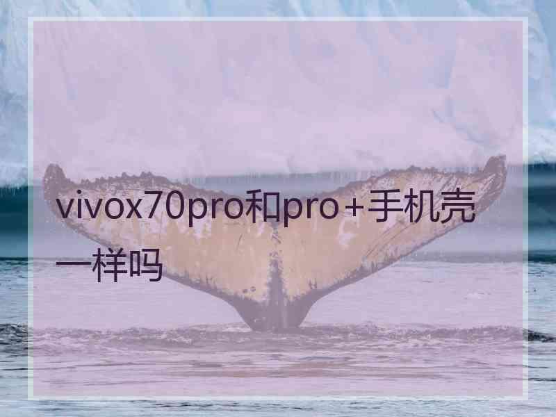 vivox70pro和pro+手机壳一样吗