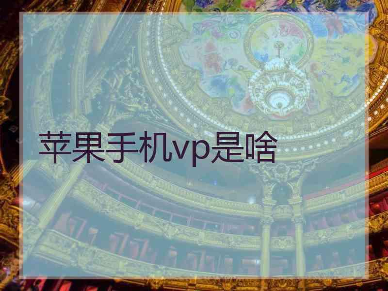 苹果手机vp是啥