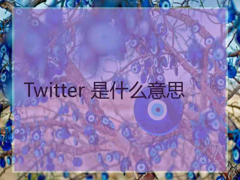 Twitter 是什么意思