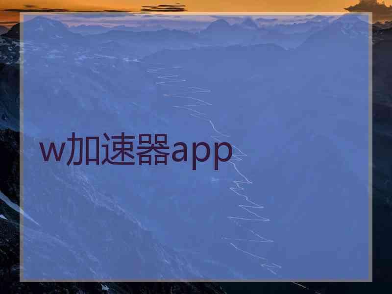 w加速器app