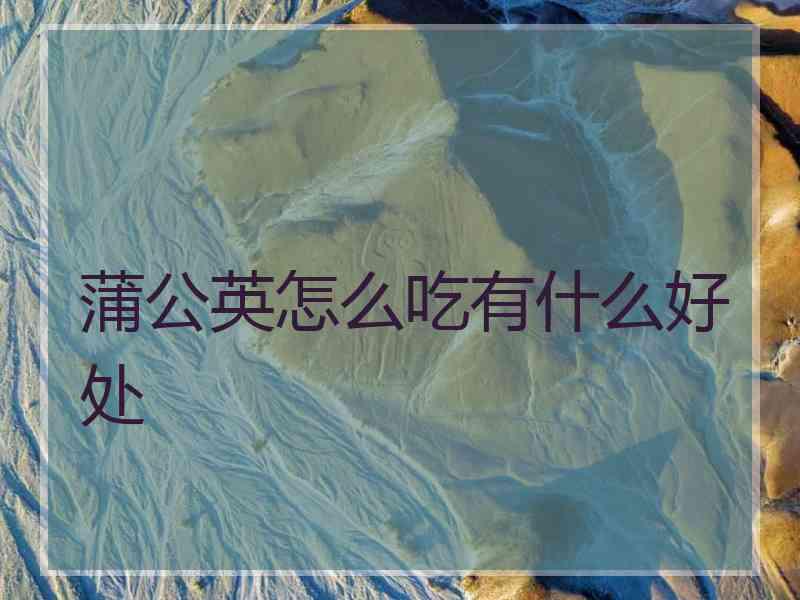 蒲公英怎么吃有什么好处