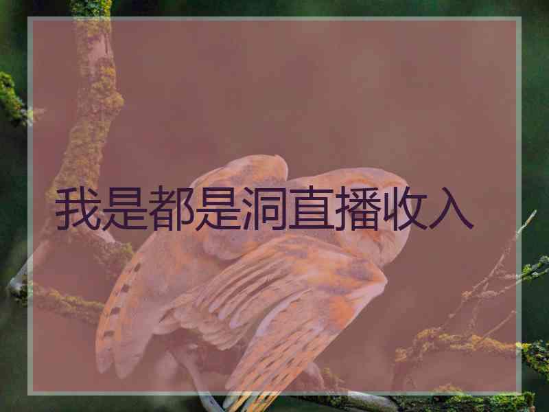 我是都是洞直播收入