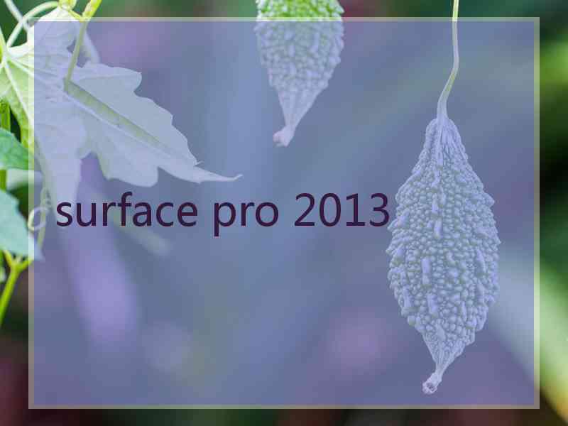 surface pro 2013