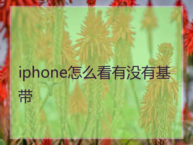 iphone怎么看有没有基带