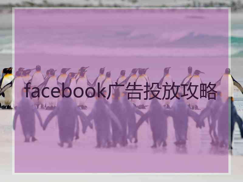 facebook广告投放攻略