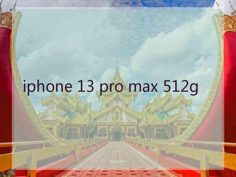 iphone 13 pro max 512g