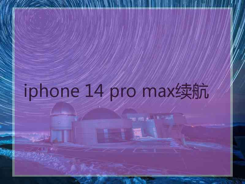 iphone 14 pro max续航