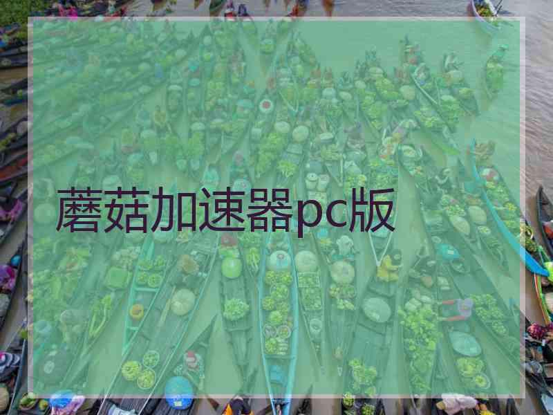 蘑菇加速器pc版