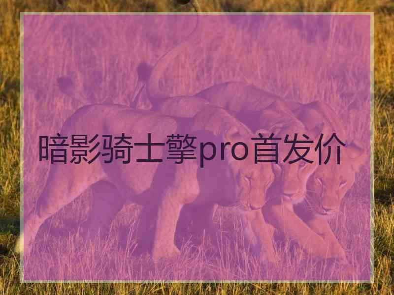 暗影骑士擎pro首发价