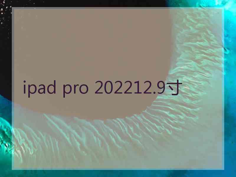 ipad pro 202212.9寸