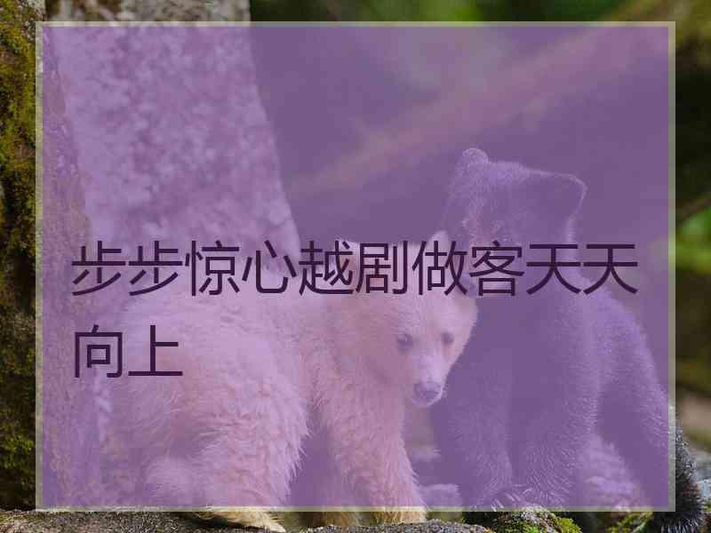 步步惊心越剧做客天天向上