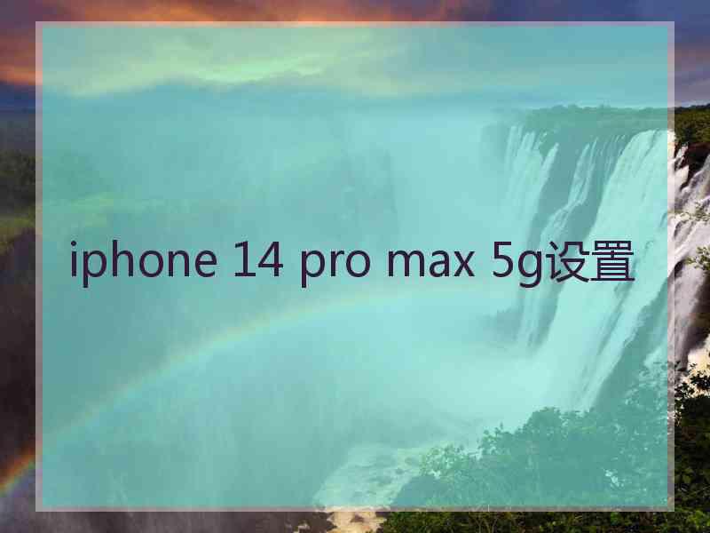 iphone 14 pro max 5g设置