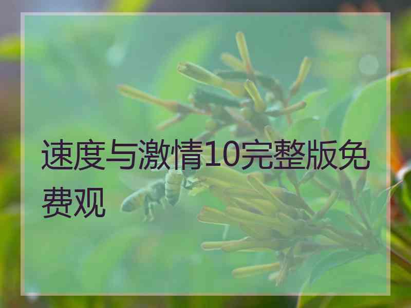 速度与激情10完整版免费观