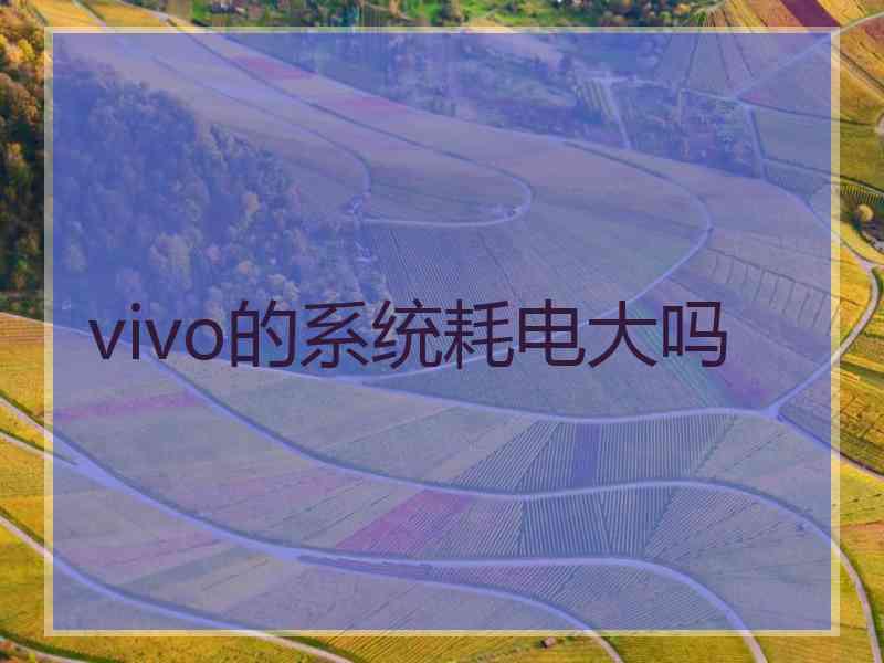 vivo的系统耗电大吗