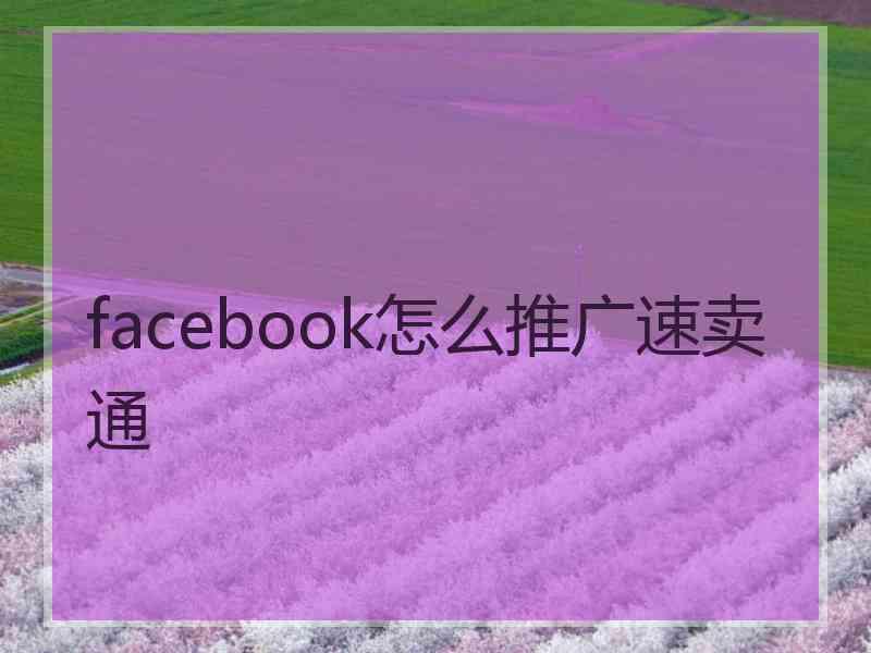 facebook怎么推广速卖通