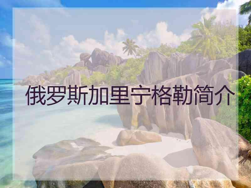 俄罗斯加里宁格勒简介