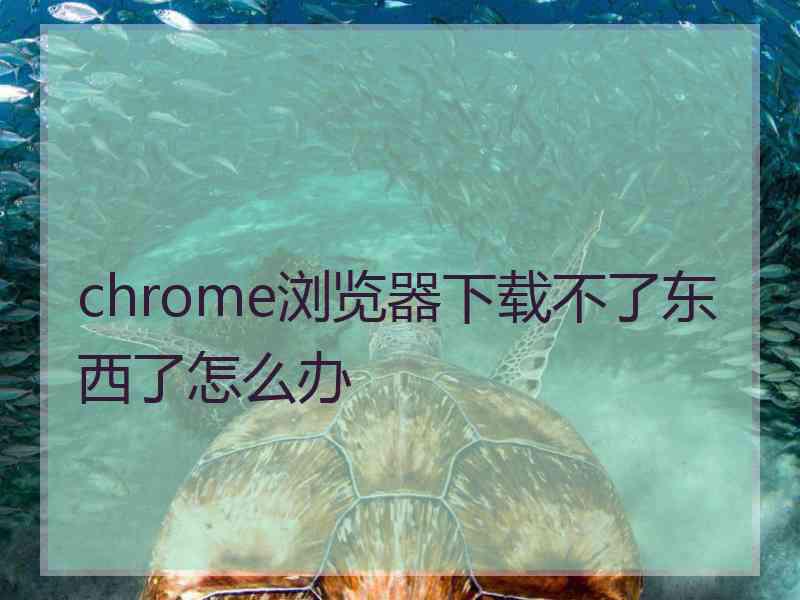 chrome浏览器下载不了东西了怎么办