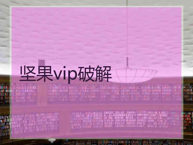 坚果vip破解