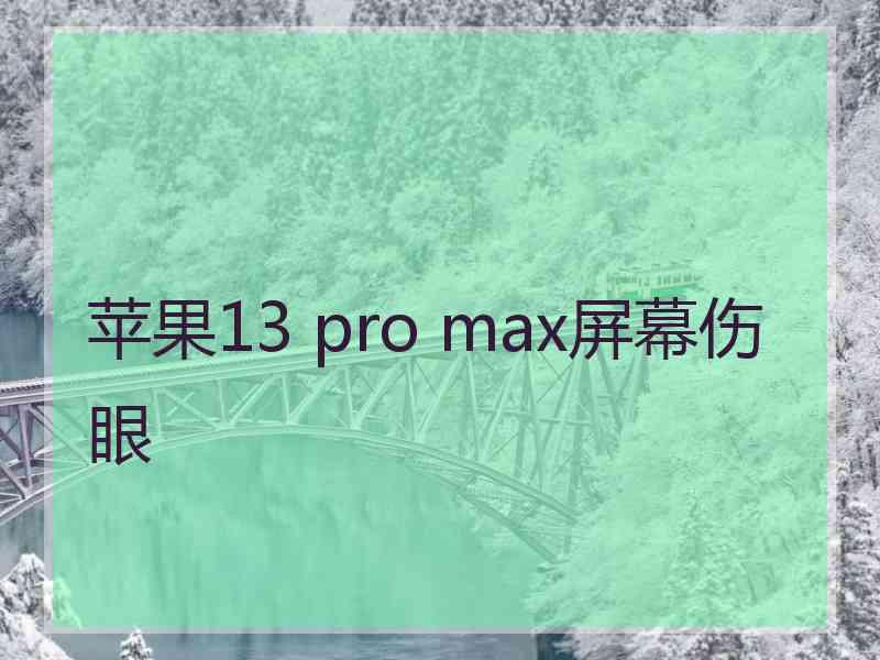 苹果13 pro max屏幕伤眼