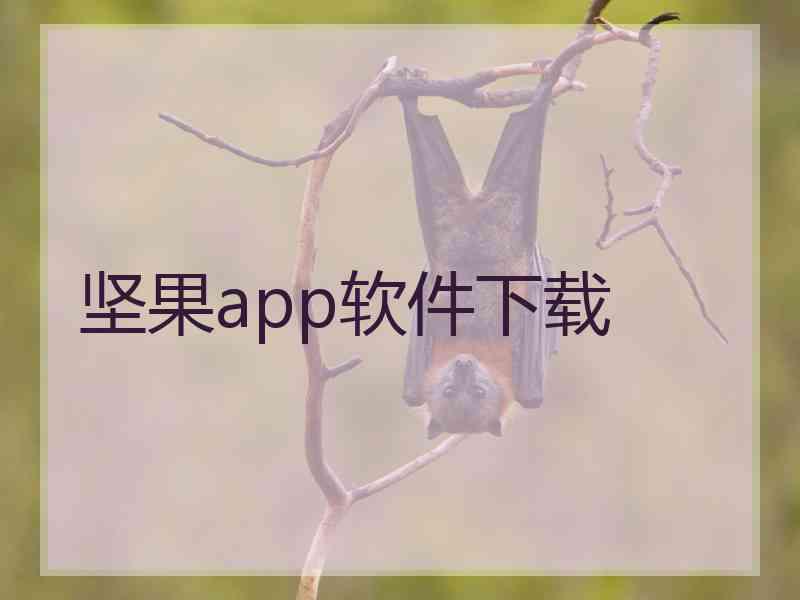 坚果app软件下载