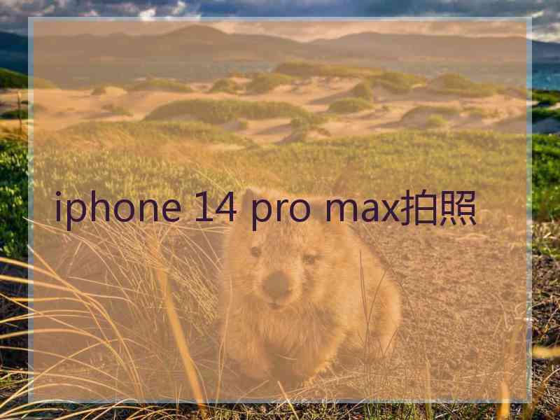 iphone 14 pro max拍照