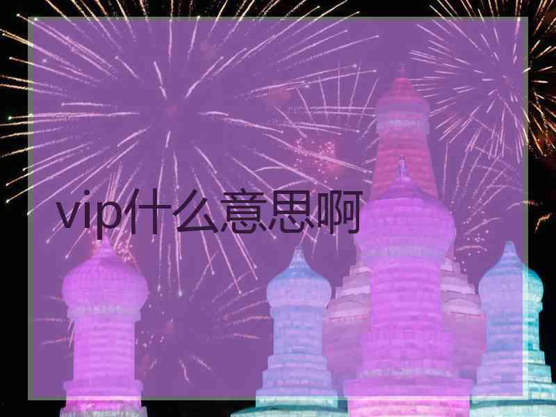 vip什么意思啊