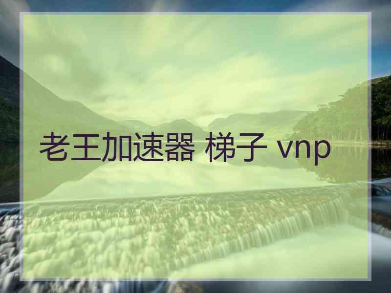 老王加速器 梯子 vnp