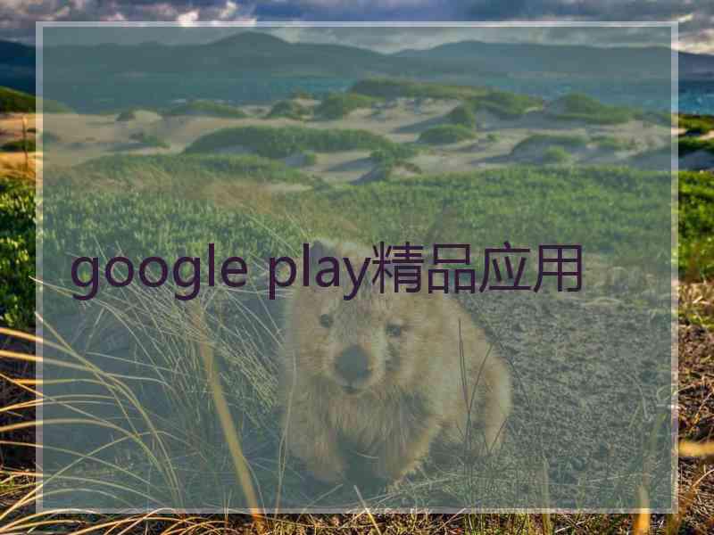 google play精品应用