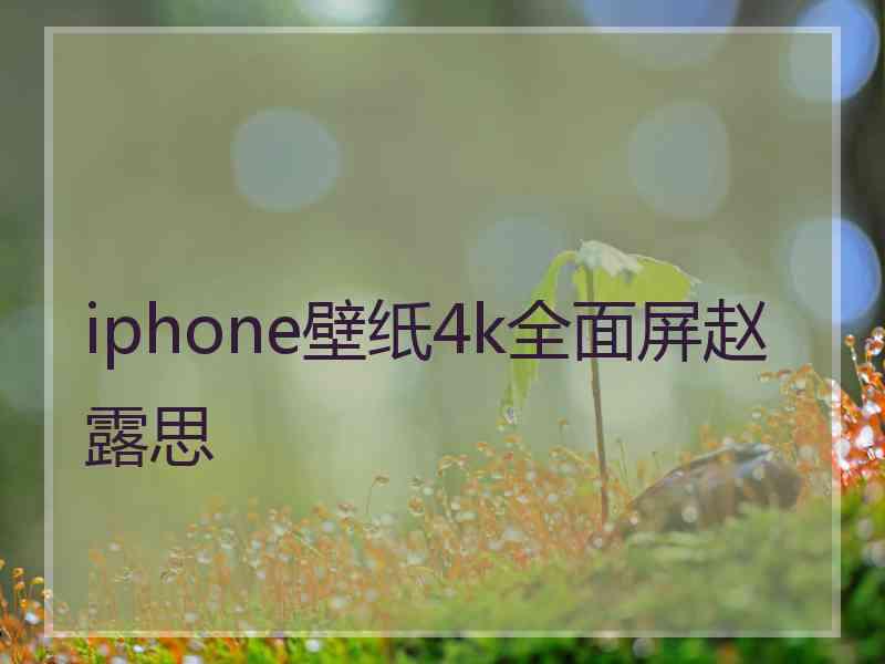 iphone壁纸4k全面屏赵露思