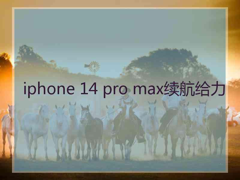 iphone 14 pro max续航给力