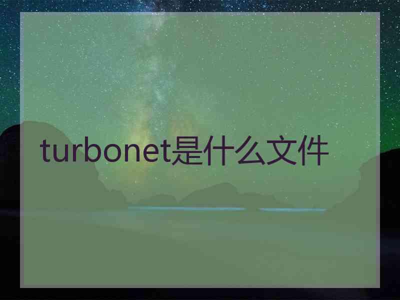 turbonet是什么文件