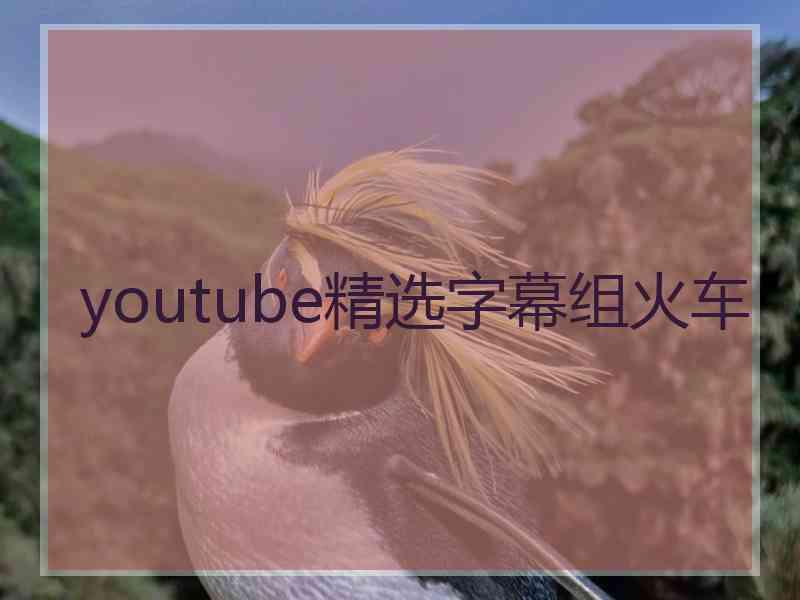 youtube精选字幕组火车