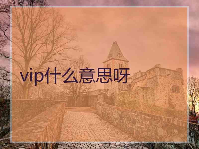 vip什么意思呀